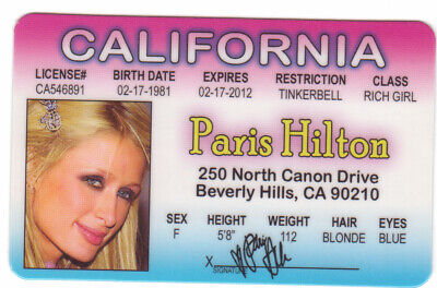 fake id for fun