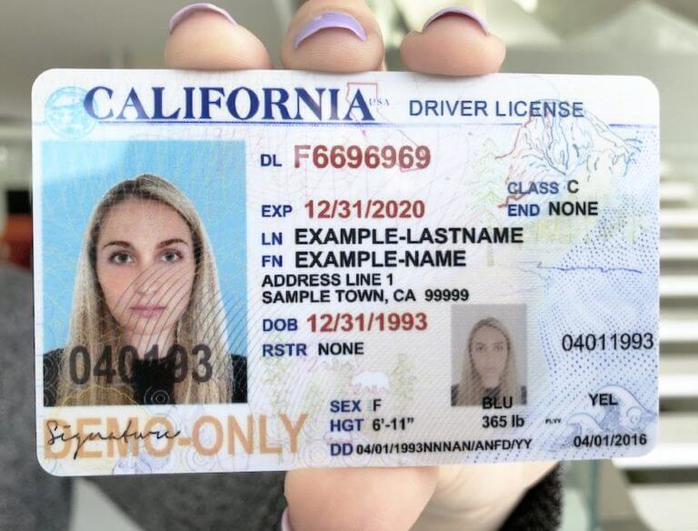 fake id for verification