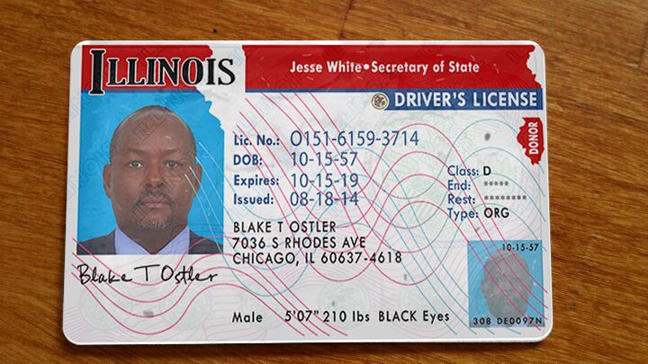 fake id generator illinois