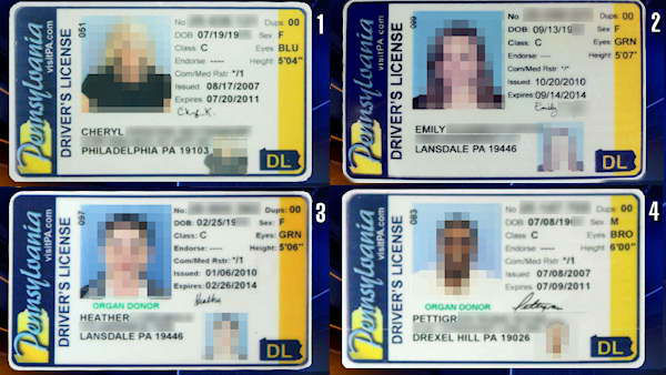 fake id guide