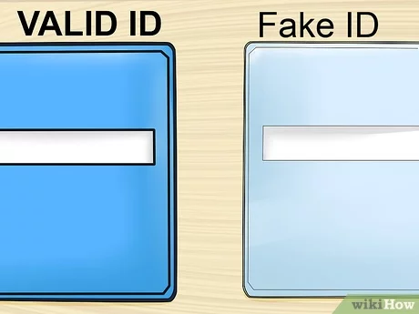 fake id guide