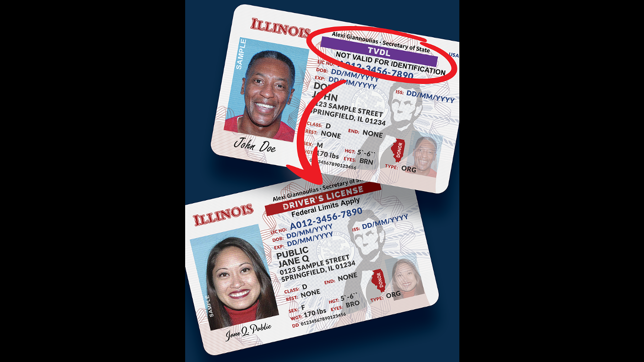 fake id illinois