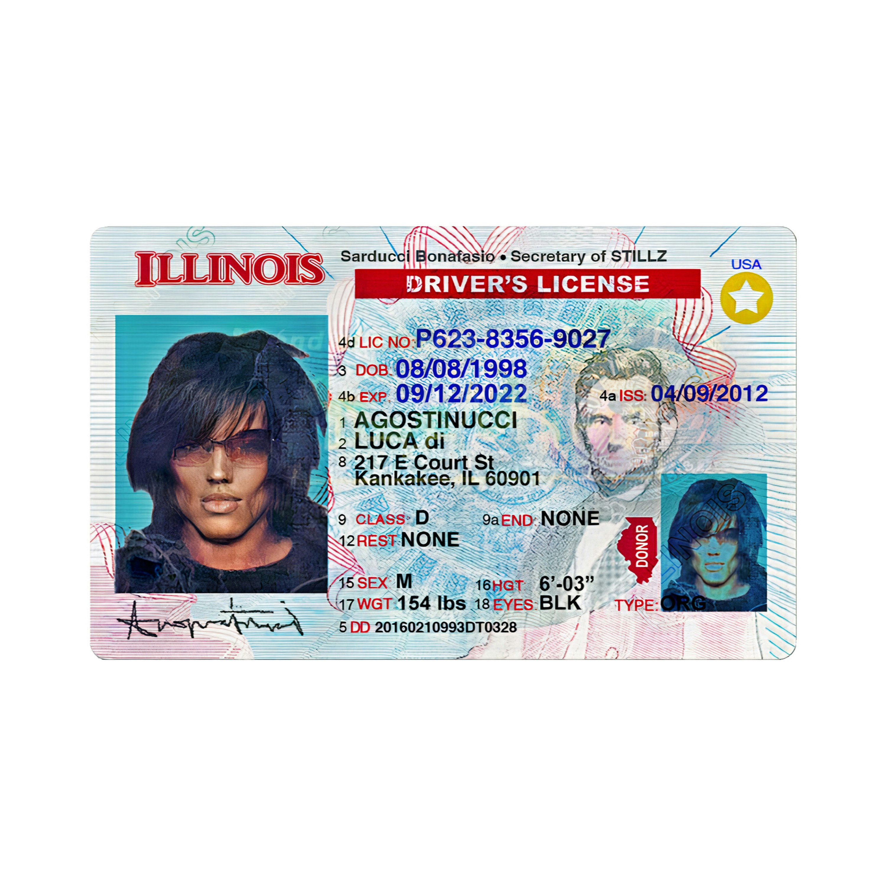 fake id illinois