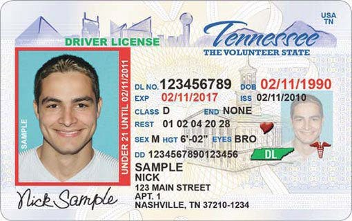 fake id in nashville tn