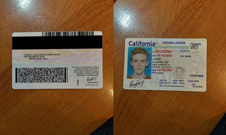 fake id international