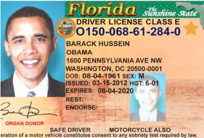 fake id laws florida