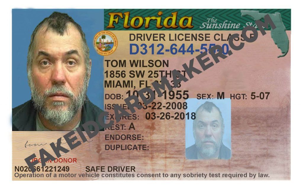 fake id laws in florida