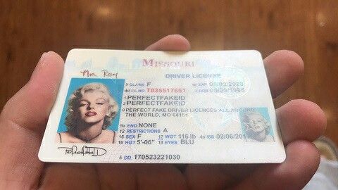 fake id maine