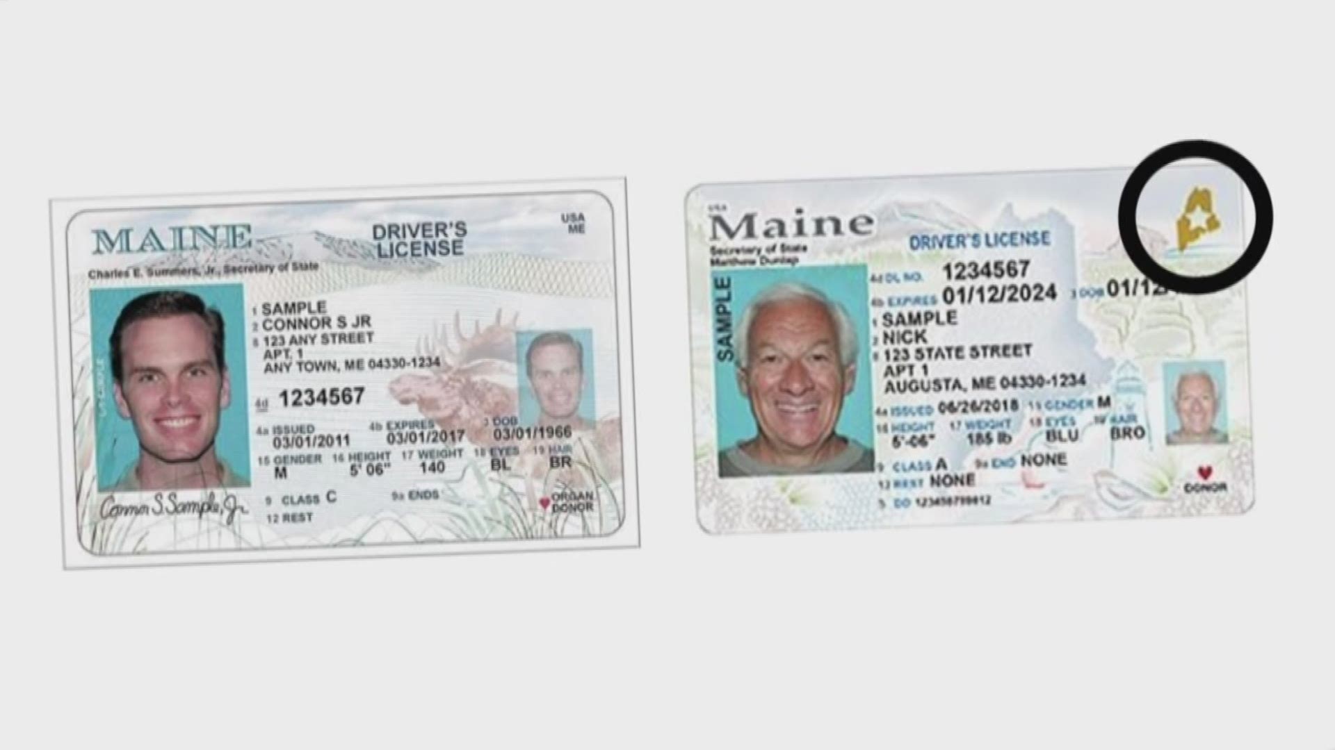 fake id maine