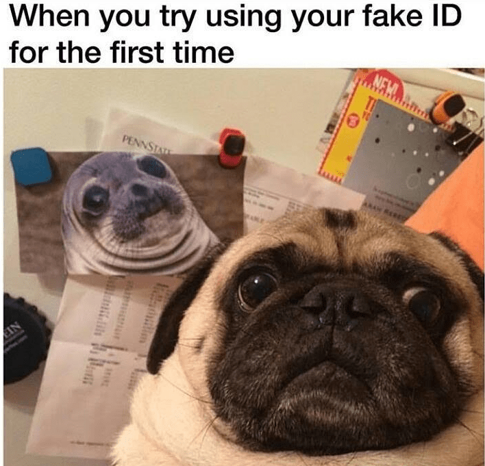 fake id meme