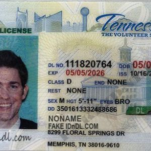 fake id memphis