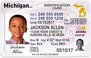 fake id michigan