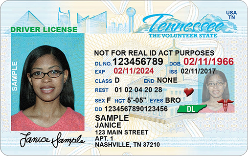 fake id penalty tennessee