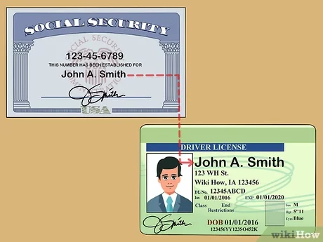 fake id social security card