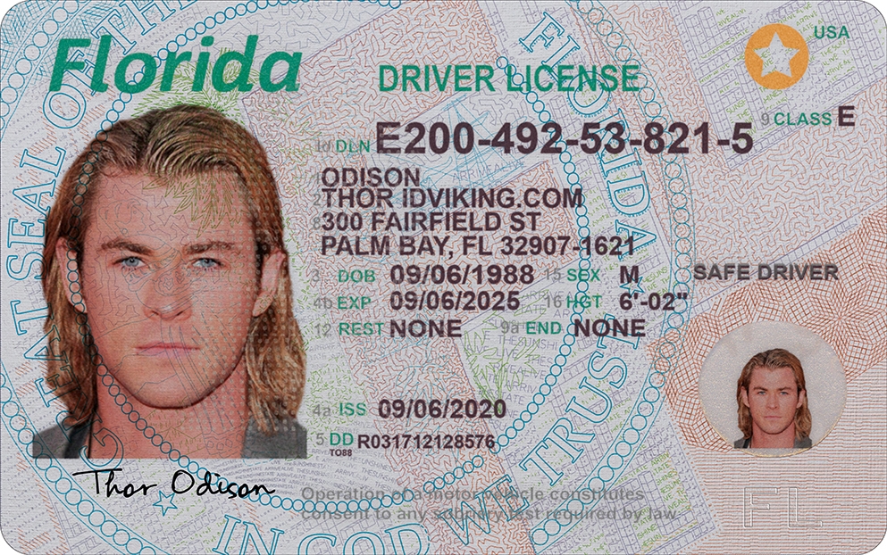 fake id templates pdf