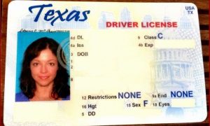 fake id templates