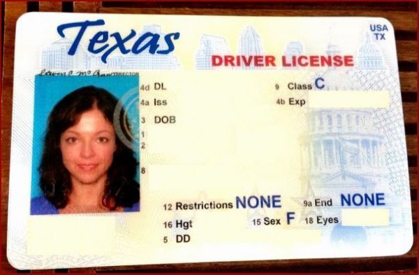 fake id templates