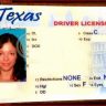 fake id templates