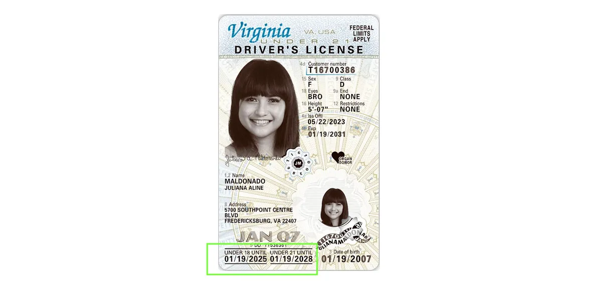 fake id virginia