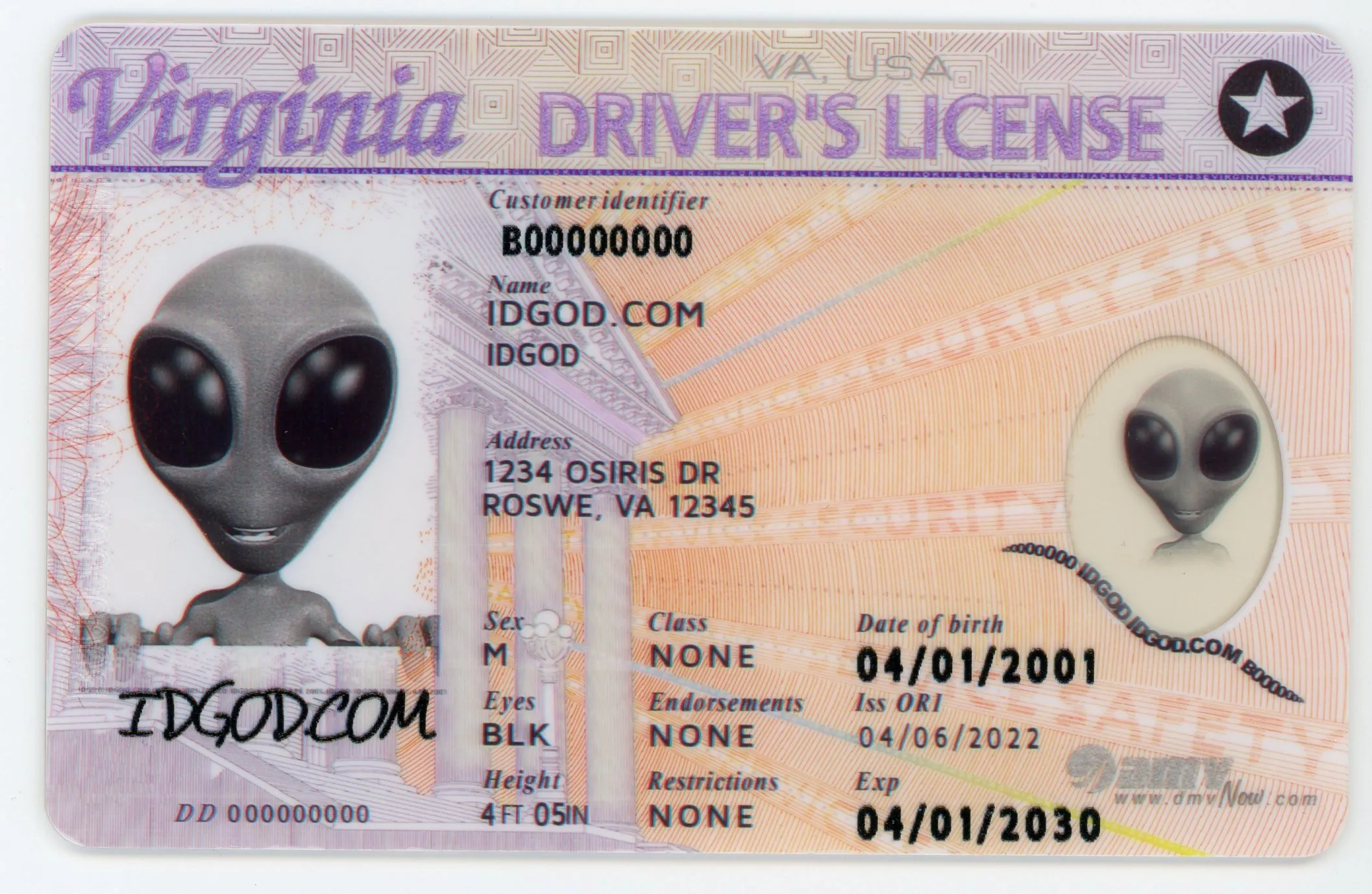 fake id virginia