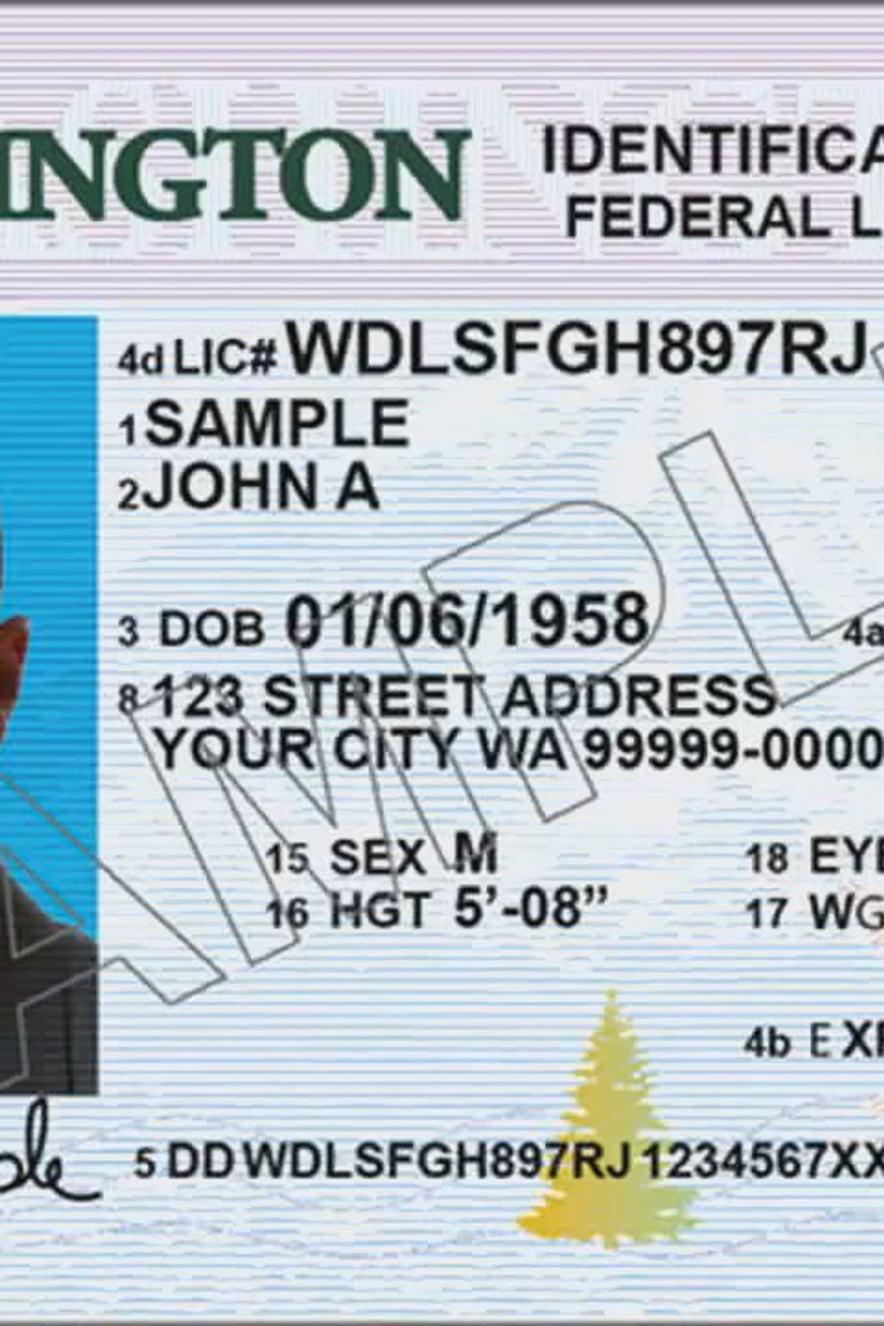 fake id washington