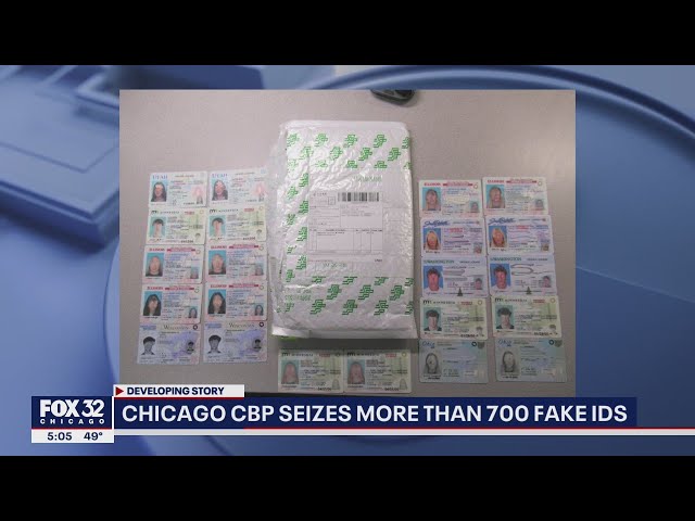 fake ids busted