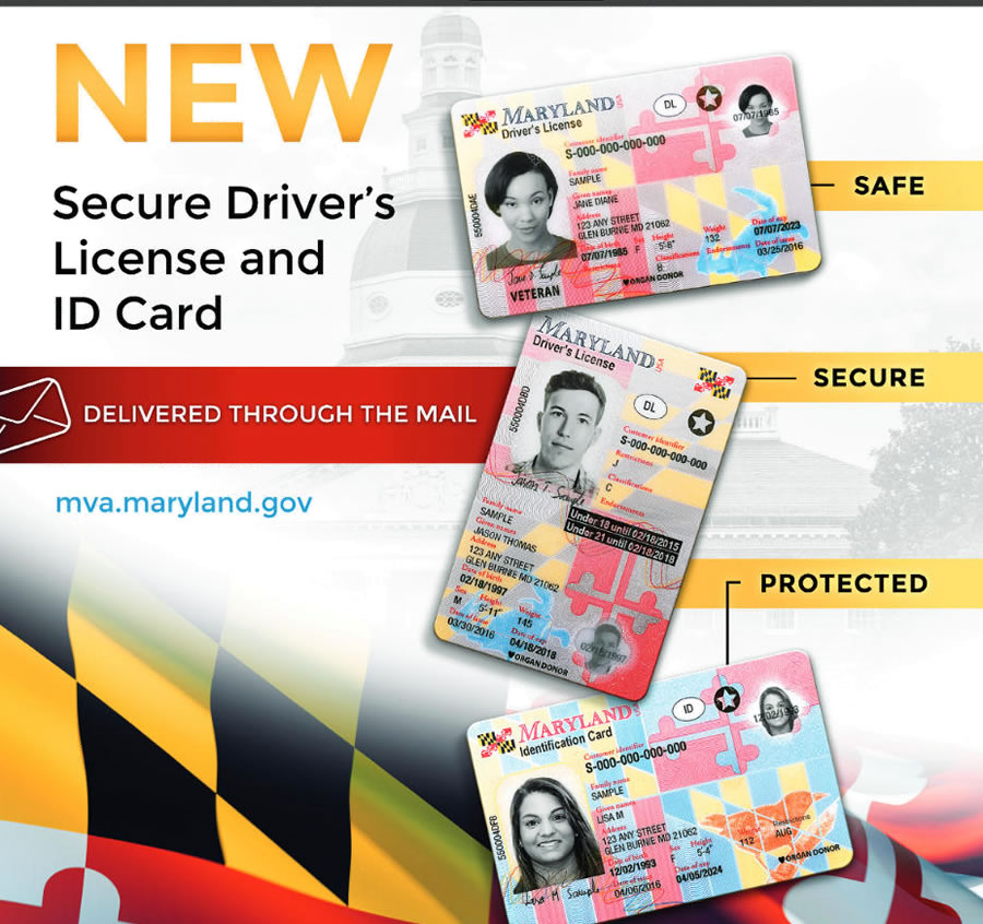 fake ids maryland