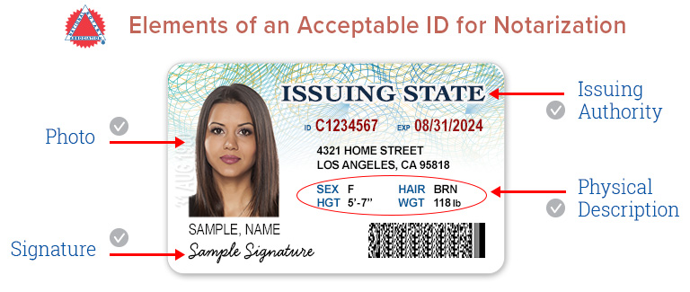 fake ids maryland