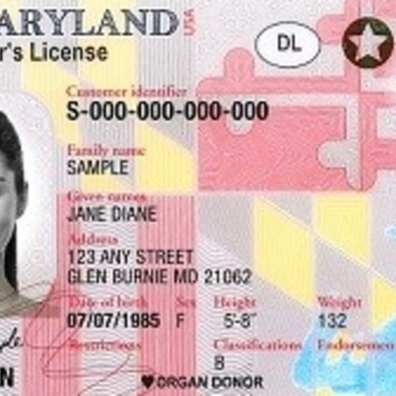 fake ids maryland