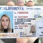 fake ids online