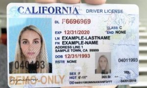 fake ids online