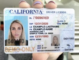 fake ids online