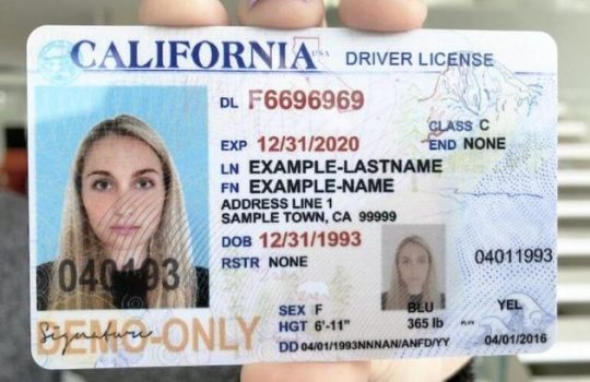 fake ids online