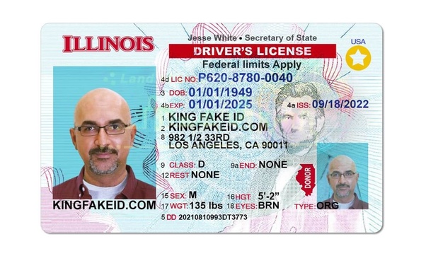 fake illinois id