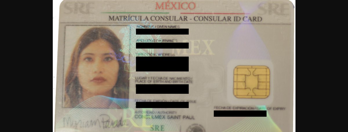 fake mexican consular id card