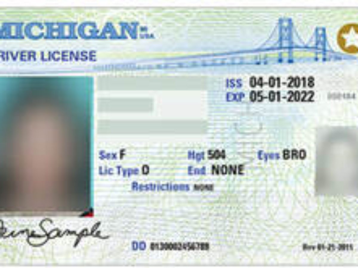 fake michigan id