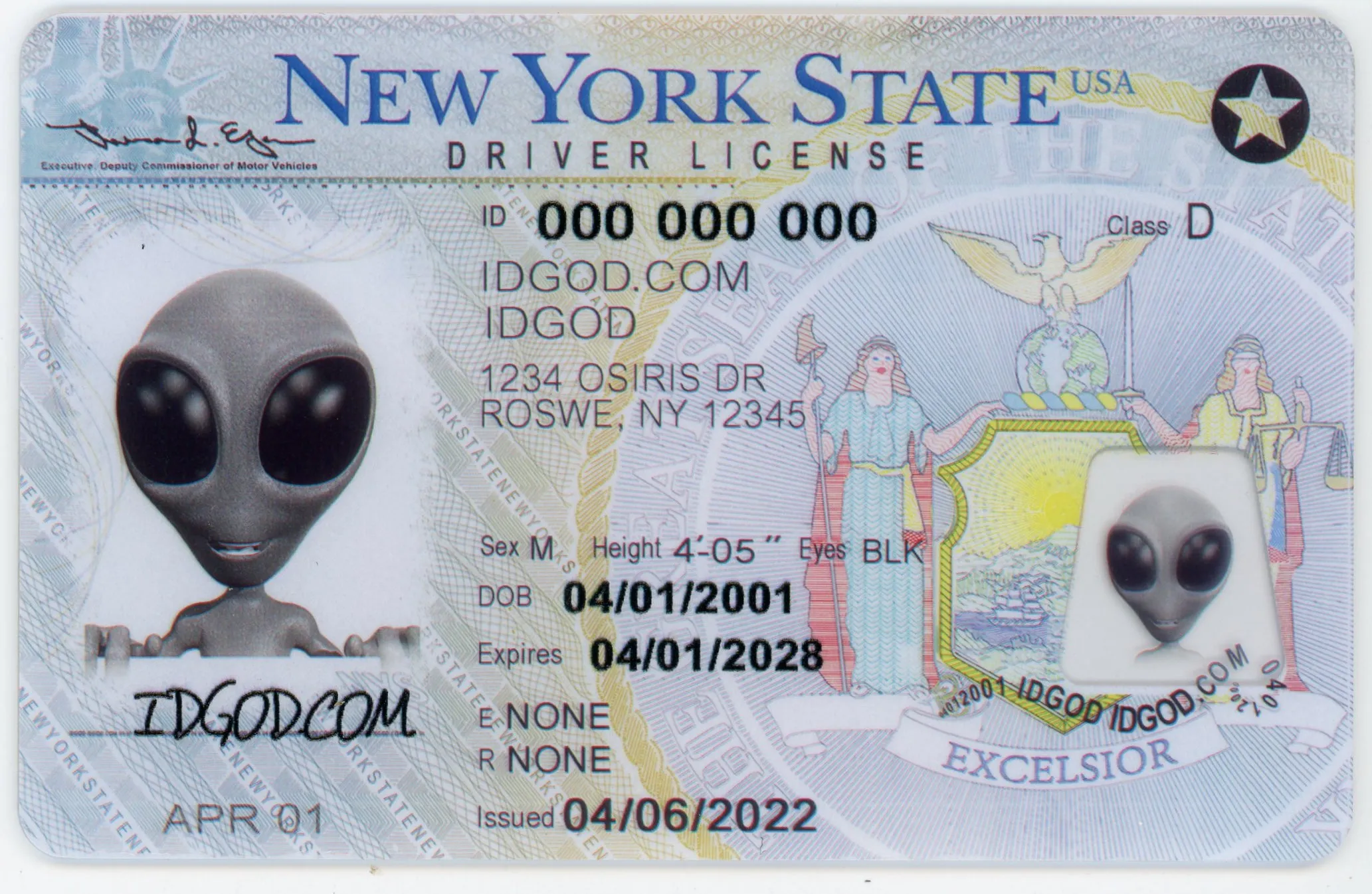 fake new york id