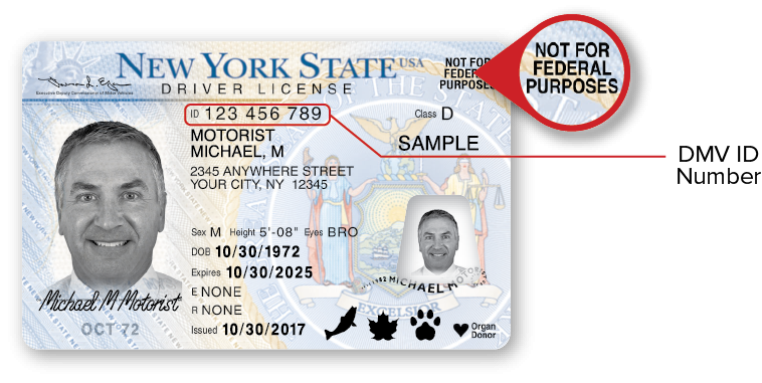 fake new york state id