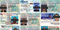 fake new york state id