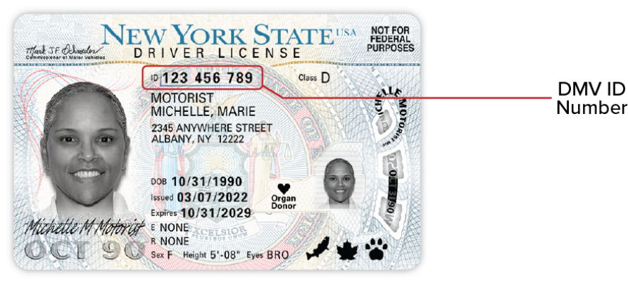 fake new york state id