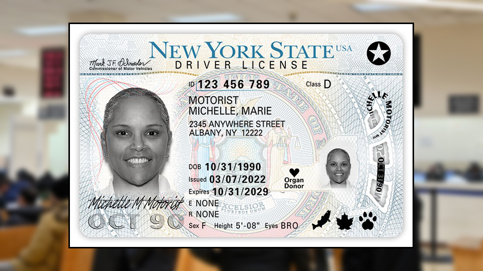 fake ny id template