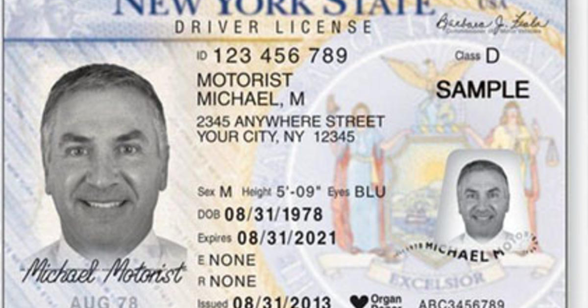 fake ny id template