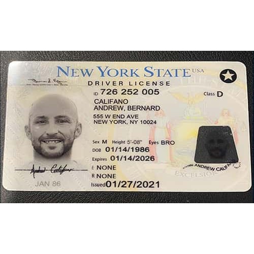 fake ny id