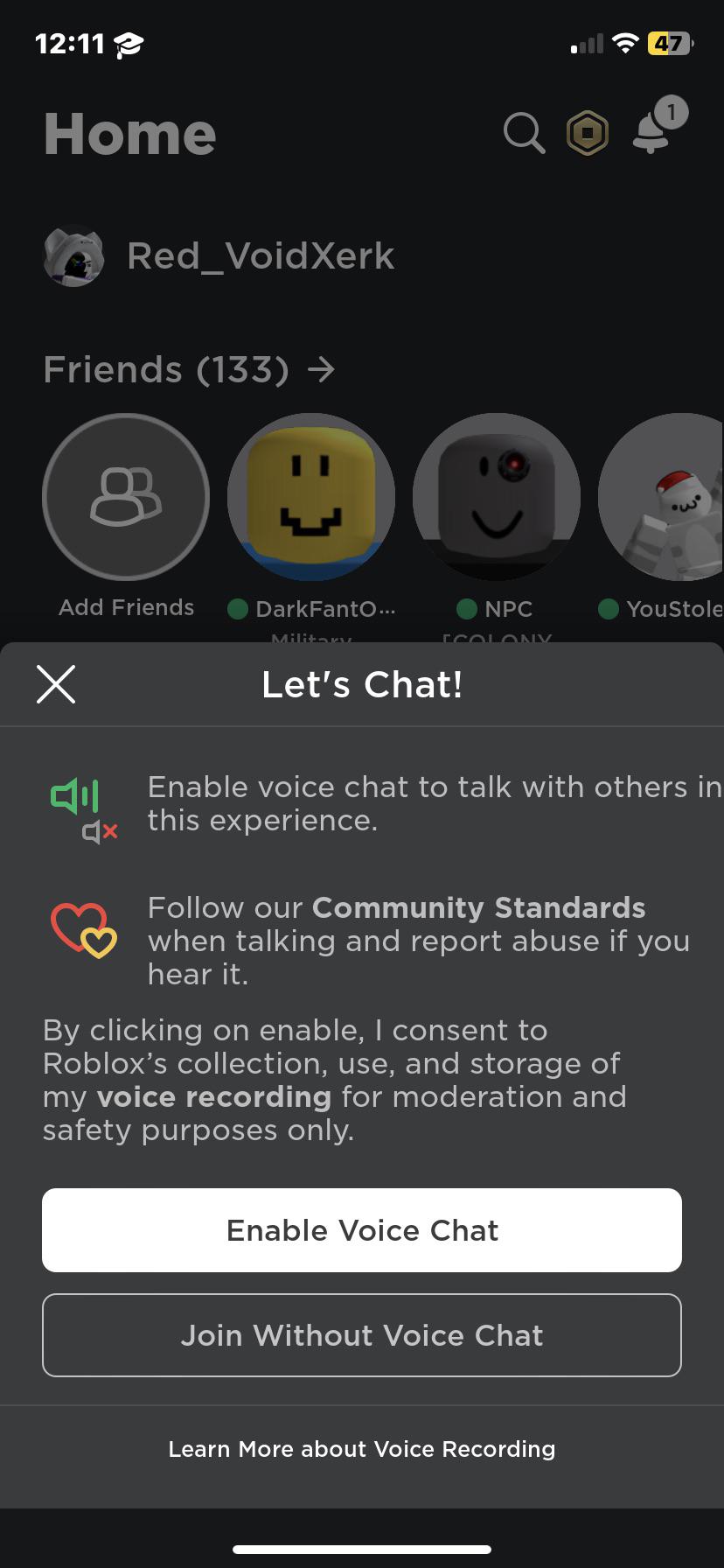 fake roblox id for voice chat