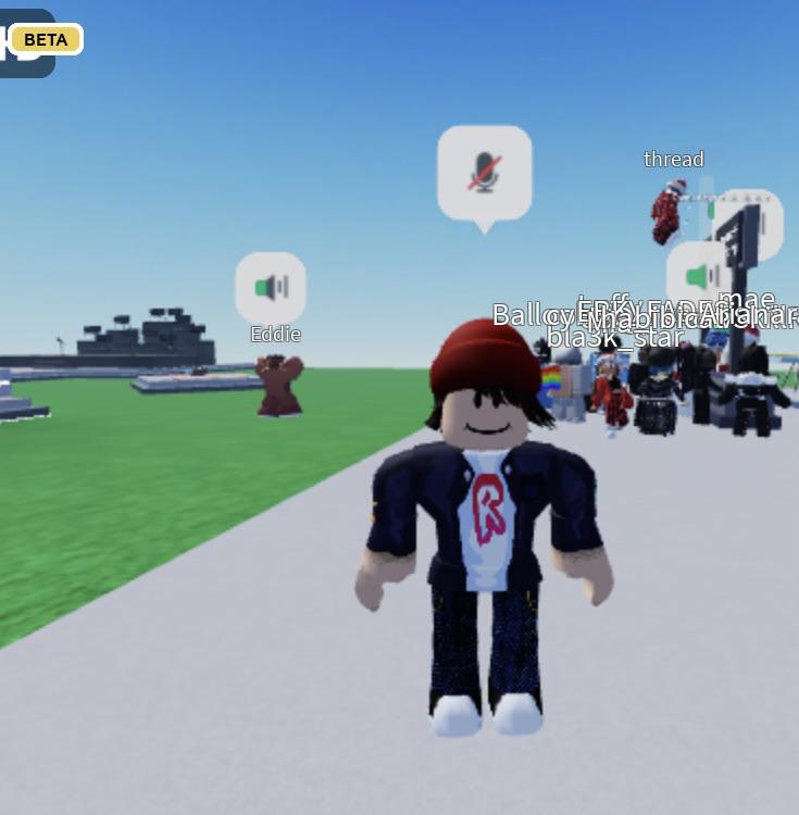 fake roblox id for voice chat