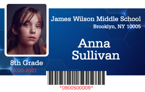 fake school id