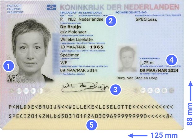 fake us id