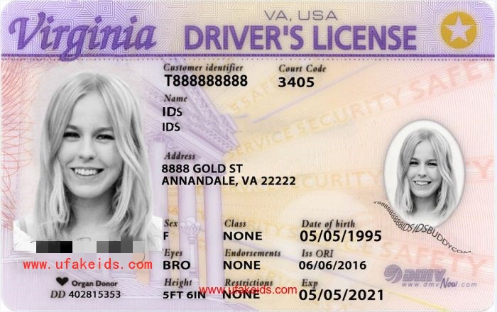 fake va id