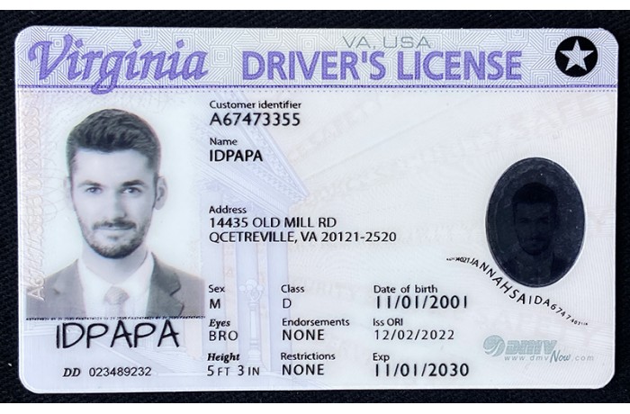 fake va id