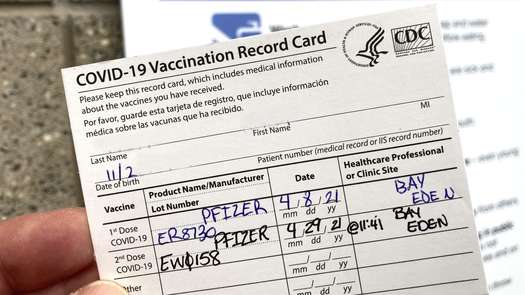 fake vax id